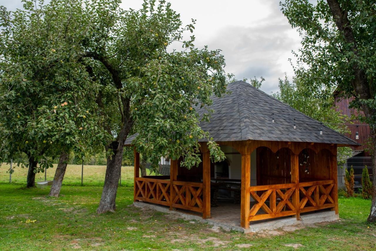 ホテル Casa Strabunicului Partestii de Sus  エクステリア 写真