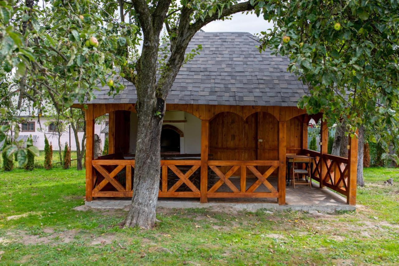 ホテル Casa Strabunicului Partestii de Sus  エクステリア 写真