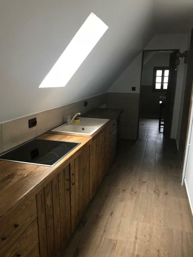 ホテル Casa Strabunicului Partestii de Sus  エクステリア 写真