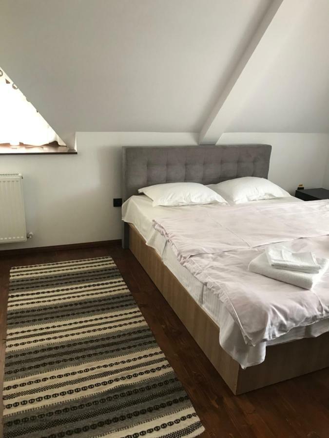 ホテル Casa Strabunicului Partestii de Sus  エクステリア 写真